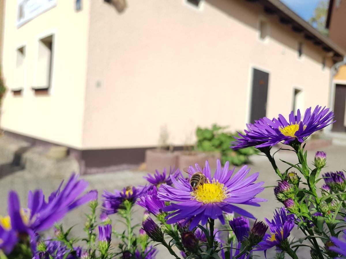 Ferienhaus Balkenkunst Radebeul Esterno foto